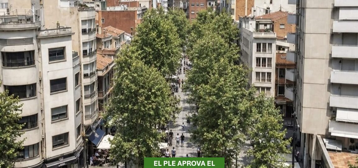 El Plenari de Terrassa aprova un bosc urbà al Portal de Sant Roc