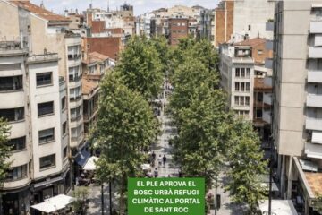 El Plenari de Terrassa aprova un bosc urbà al Portal de Sant Roc